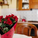 Apartment Maison Blanchet Sarre